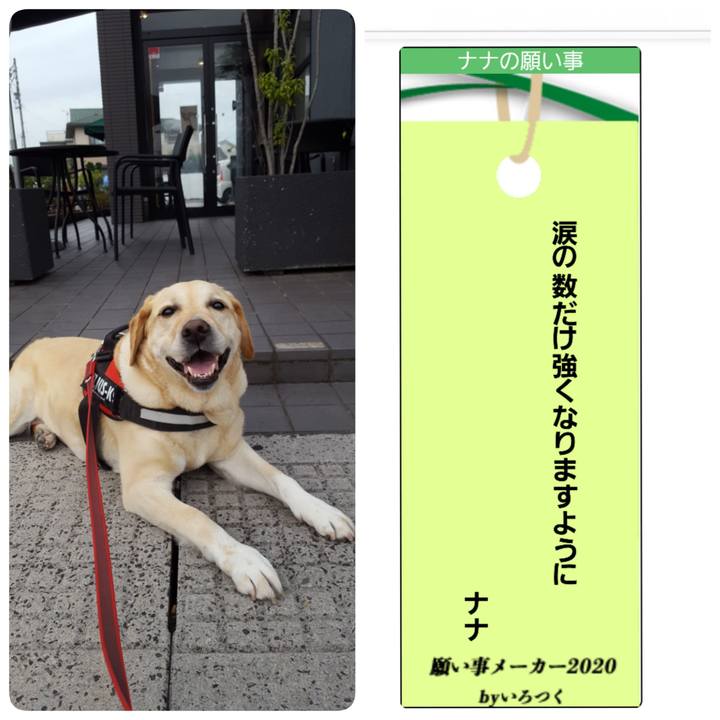 C8c76b7a 345e 4e72 beba 6eb3b55377c1 1594119773430