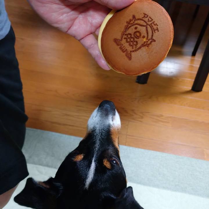 C8c77d96 c723 4224 bcd6 59624b5b4e5b 1593340943231