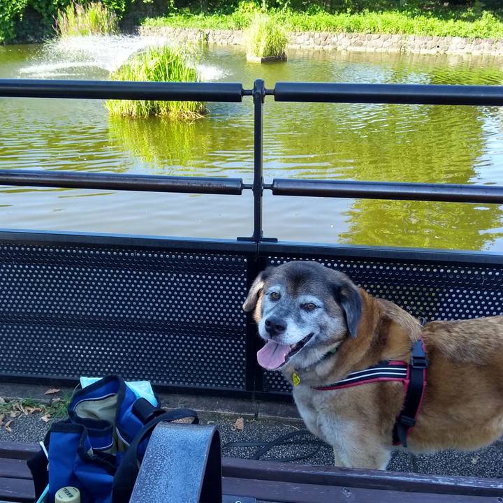 C8c79302 df42 422a a6fc 5e114727c894 1564961757520