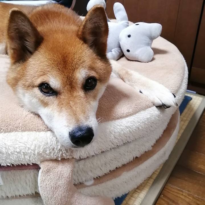 C8c79360 ba83 47b2 b74d 010d92c60ce1 1594885774202