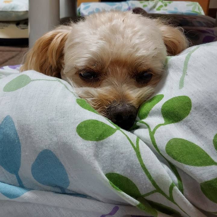 C8c7a78d e59d 403c bd53 1729f589980f 1634562579635