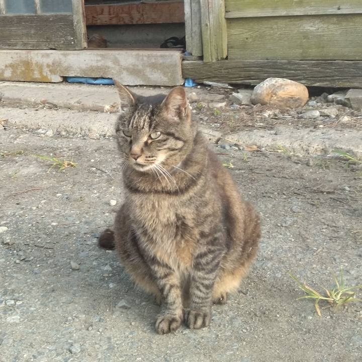 C8c7b410 2b6a 43e1 b991 78202e78aab7 1751492570866