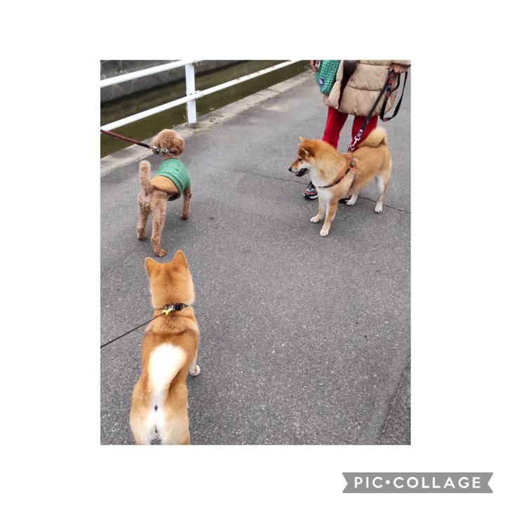 C8c7d2fc ae7b 4433 97de c18c8112d4cc 1679014707916