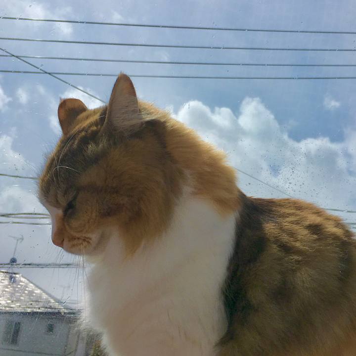 C8c7dc90 ed40 4aab 92b9 6d2651cbf903 1583915264716