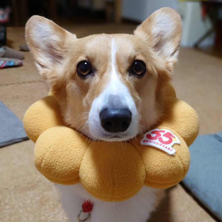 C8c8036b e2f9 423a ba37 a038edd07ab7 1767008566191