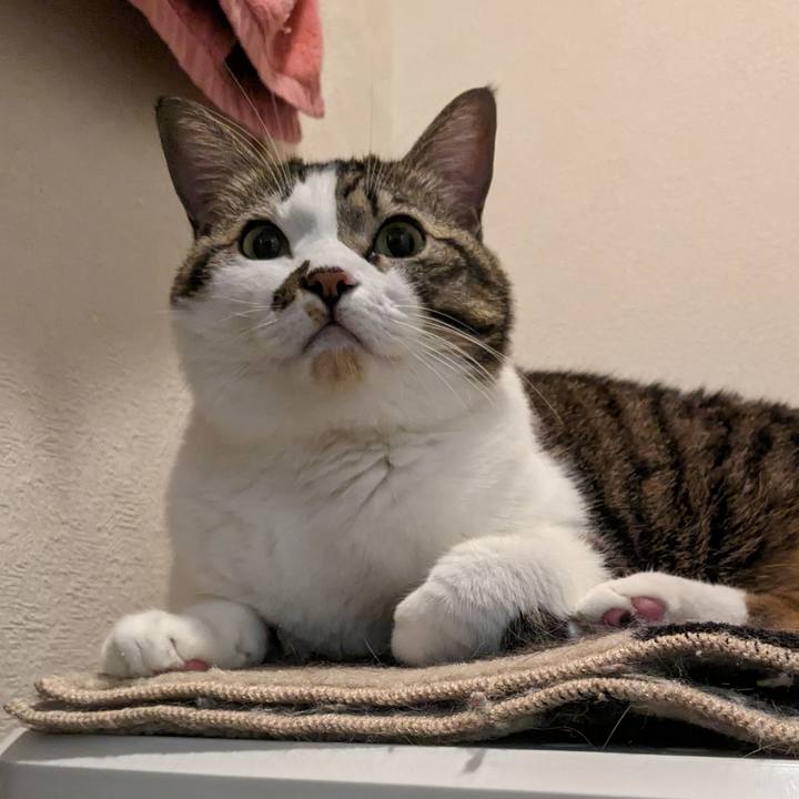 C8c834e9 03dd 45bd a9e8 cae5c69af441 1700574112947