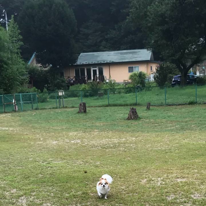 C8c84ba1 77dd 4d8f a73f 787e940cee9b 1566701668998