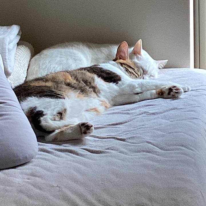 C8c88166 faa6 4e1b 89fd 9dfb15cc5497 1662702114467