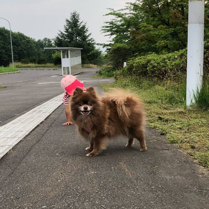 C8c8933a d110 4d63 ba60 87bcba3daa8a 1532182162562