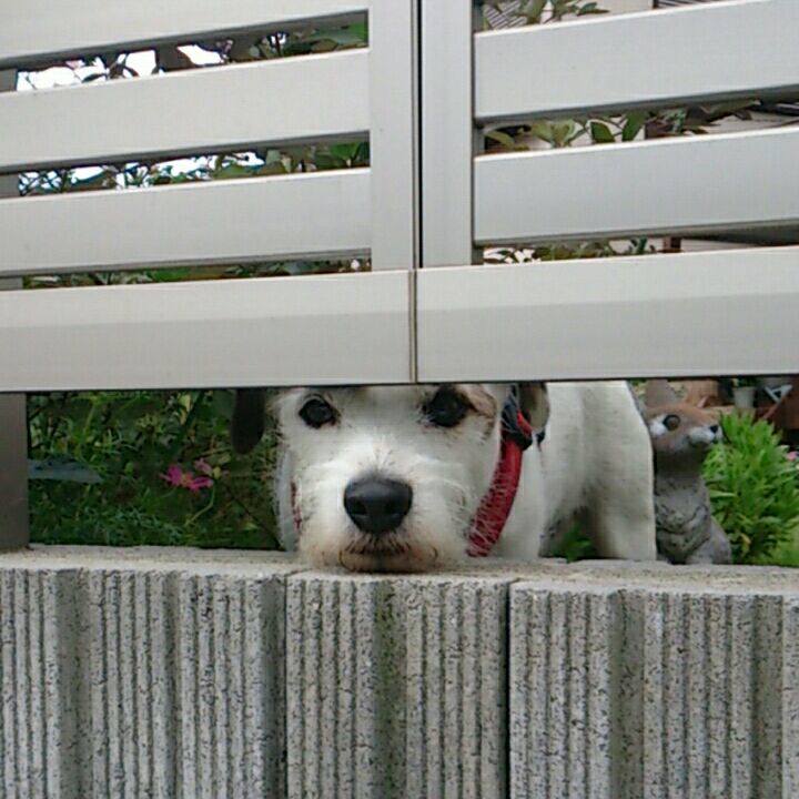 C8c8deb9 eaa6 4c75 b0fb 161250b36dfb 1509489539250