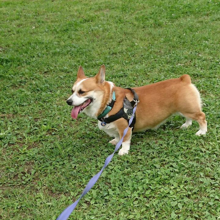 C8c8efcc 714e 4435 b7da 82b1953afe23 1652783179060