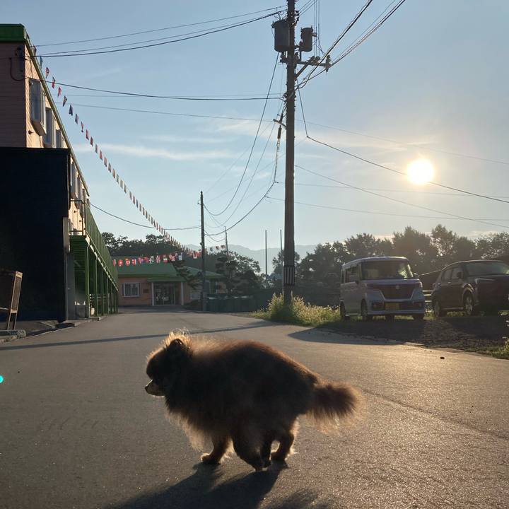 C8c8ff93 8f51 4607 8090 9bc3f4179a05 1693860138649