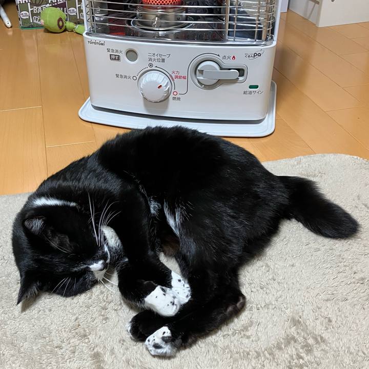 C8c910cb 8971 4891 a6df 559a159a92d9 1740971717314