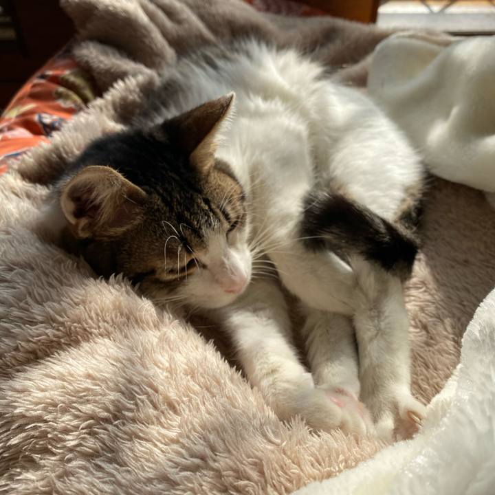 C8c9337b a45f 4d3b 9e6f f84ebd81b5e0 1704431768820