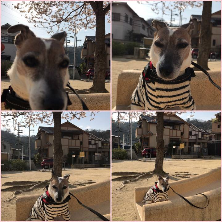 C8c93399 35c8 45e2 94fd d2b750911c22 1522152832564