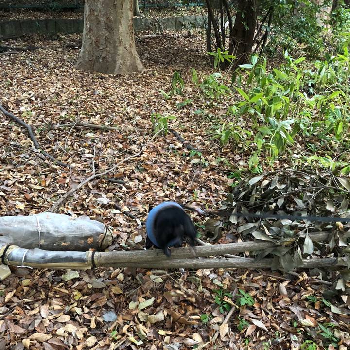 C8c94517 0fac 4f8e a782 609508adc736 1513405923082