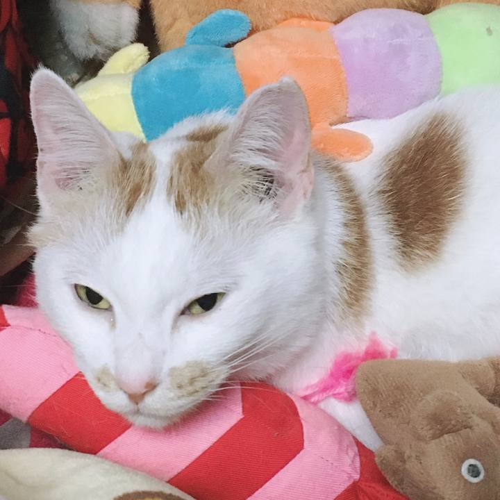 C8c953f9 dec4 4b23 8245 461cbc9aa1f1 1683297690439