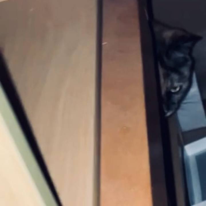 C8c95902 c91c 43c2 902e d39b120a67f8 1731867863950