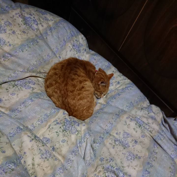 C8c97072 0cb0 4404 b0f1 68efc321ef64 1579001490094