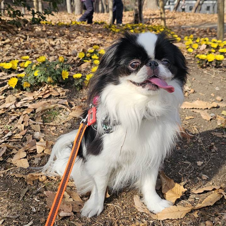 C8c99f30 c220 4505 b0b9 f6aa26848b6a 1740054081592