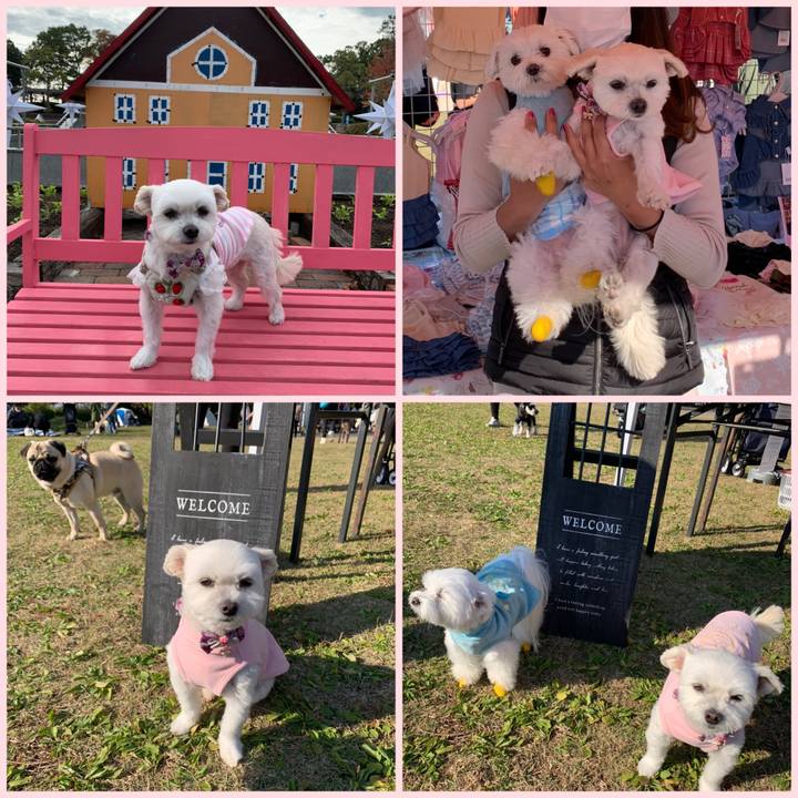 C8c9d74e d856 4d67 b28f e1945f9e8d81 1636879872541