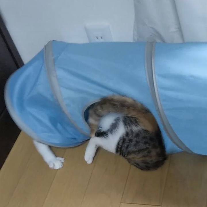 C8c9d806 7eab 42ce aace 68613a8ba002 1628852546735