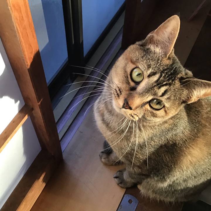 C8c9f4ee da7d 4005 9b8f c91e05e8818b 1581931062042