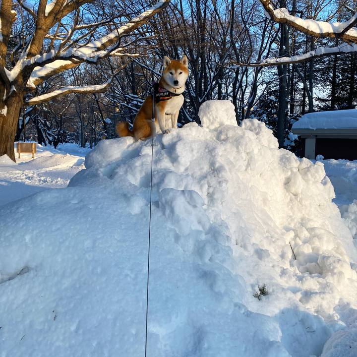 C8ca0f27 d6b4 472d b596 29013acda92e 1642467660201