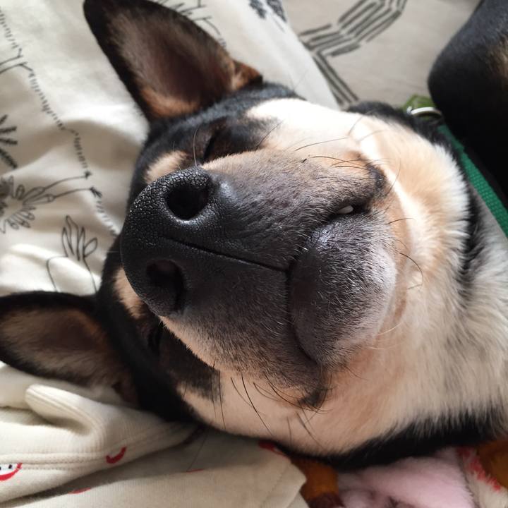 C8ca3bce 0845 4f00 a232 2f913d8d584d 1514030382766