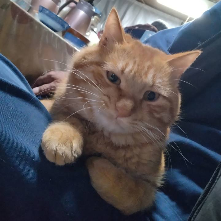 C8ca5dc1 27b9 478e 8d1c 00a6dc0adbf0 1701172822108