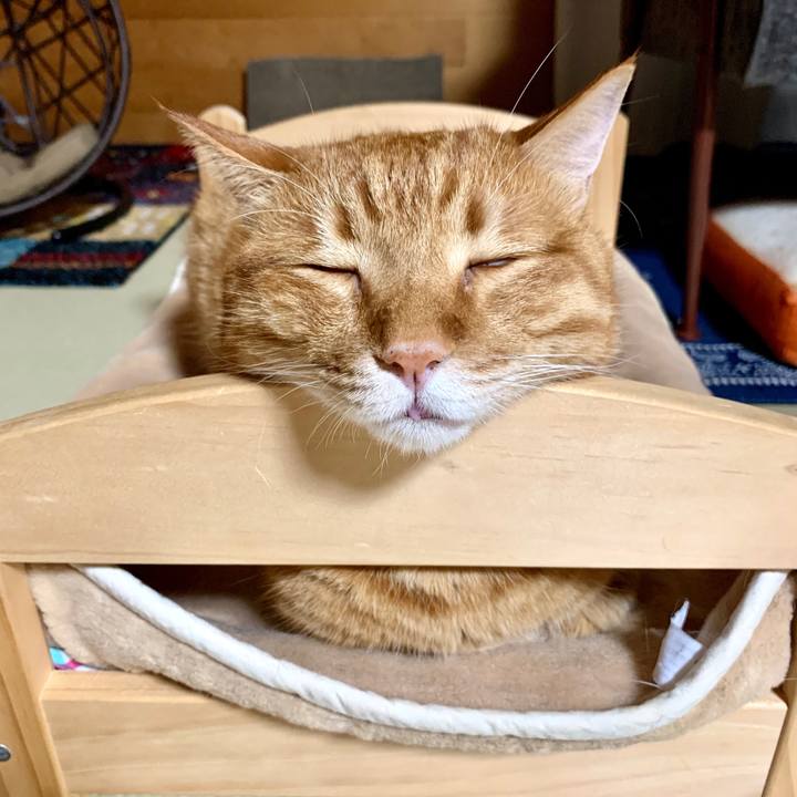 C8ca70ce 8a1f 4532 9f65 6a1495041a72 1570026201328