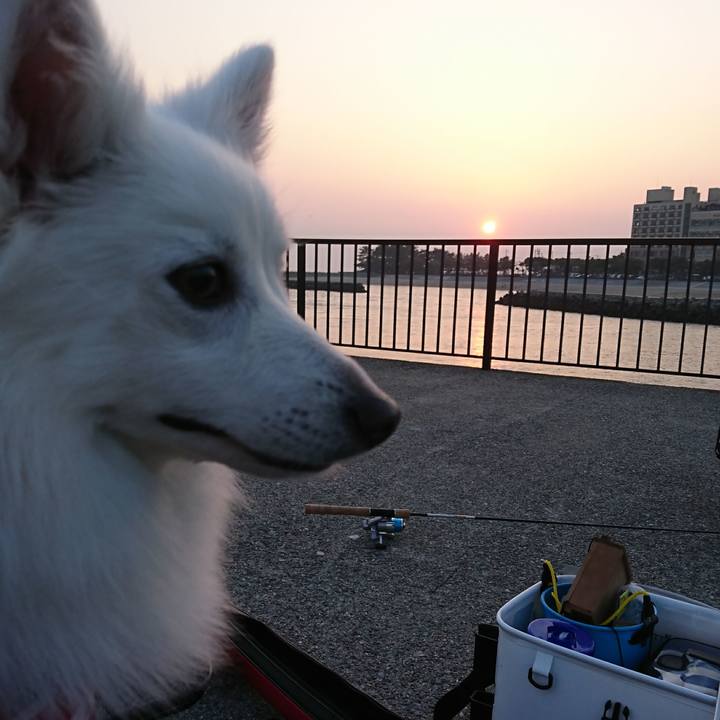 C8ca7f60 2548 47e7 b455 c5cb471b29b9 1521970226735