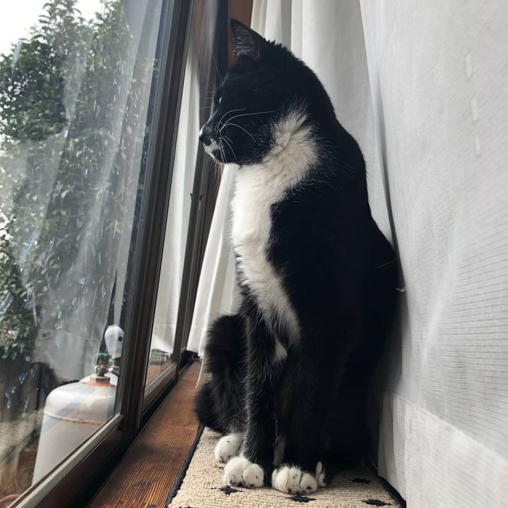 C8ca9598 3ea7 455d b642 68d2ad277e89 1552362182995