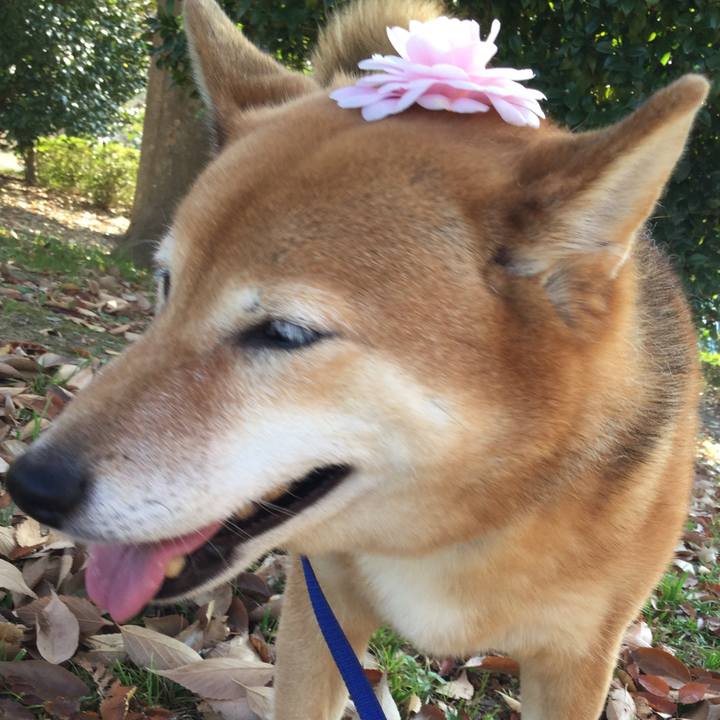 C8cac038 8f01 4dd9 81e3 7c056b02abcc 1543379393596