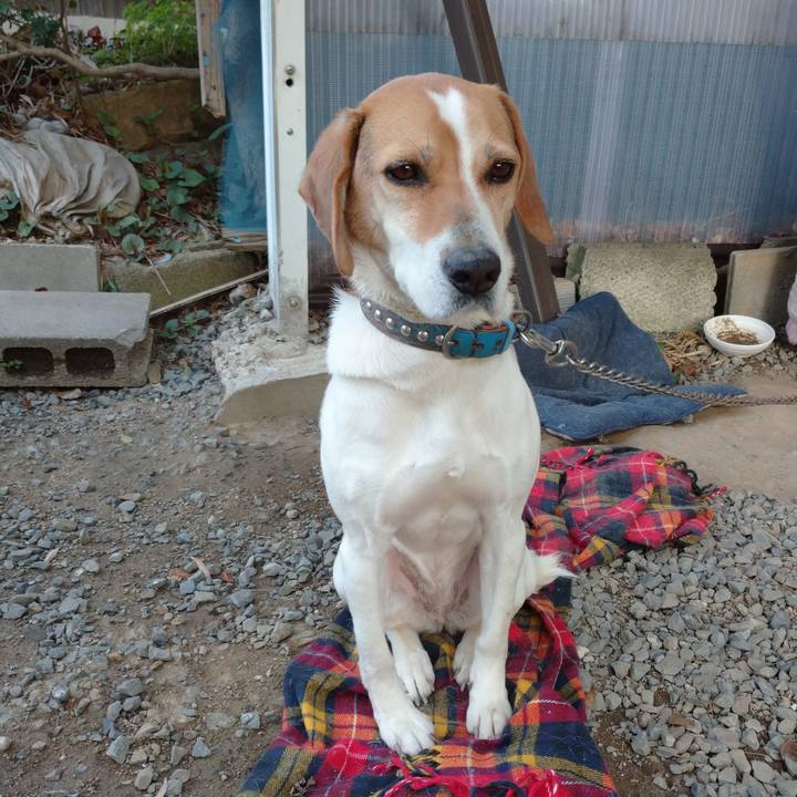 C8cac0db 8cb9 4e2c 96ee 03a07a5d758e 1616485634980