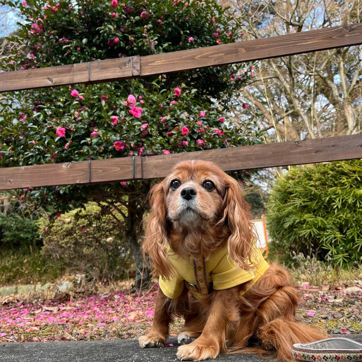 C8cae7a3 e05b 463c 80f5 6d132bdedebd 1737159110031