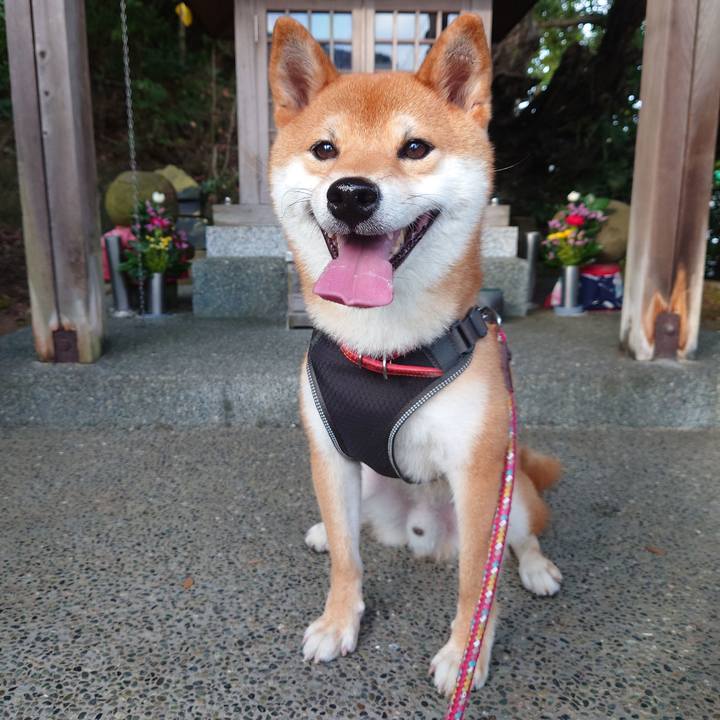 C8caebc4 d40c 4b30 bb6a 54db55a262de 1757818972126