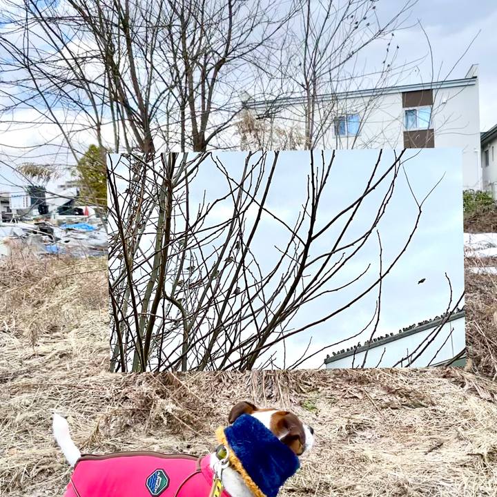 C8cb0fde f274 4a92 bdfa 9d8c41ef15cf 1646464846718