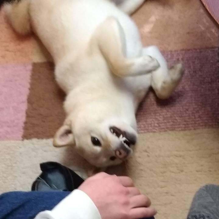 C8cb169b 0018 402d 8e7e 66d9a524852d 1552000689210