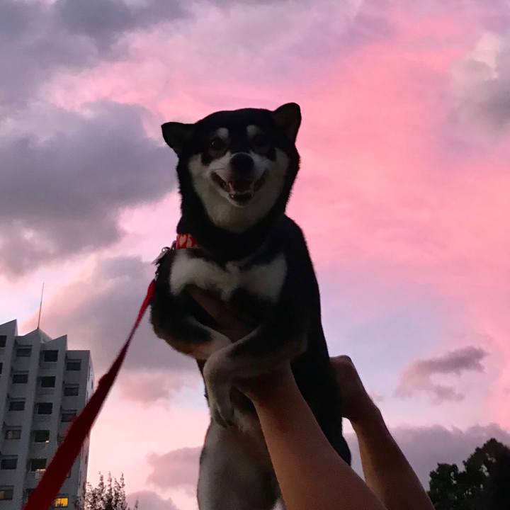 C8cb36c6 7775 44e0 8993 7873f1a411bc 1509277681984