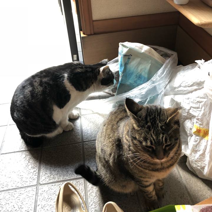 C8cb4036 8bd2 41fe 9d3d 1b77b8253c9c 1514522045256