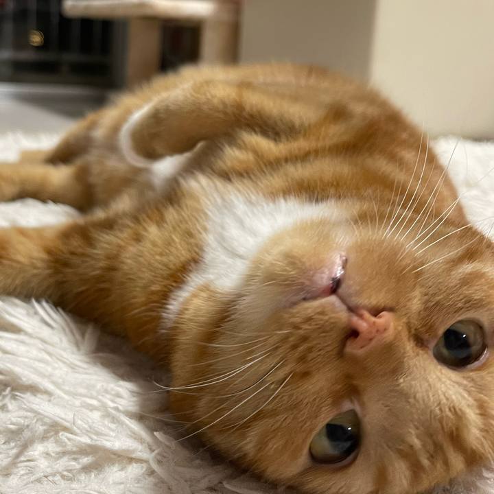 C8cb482e 0d43 449d bd75 19f837a6aa09 1700394070519