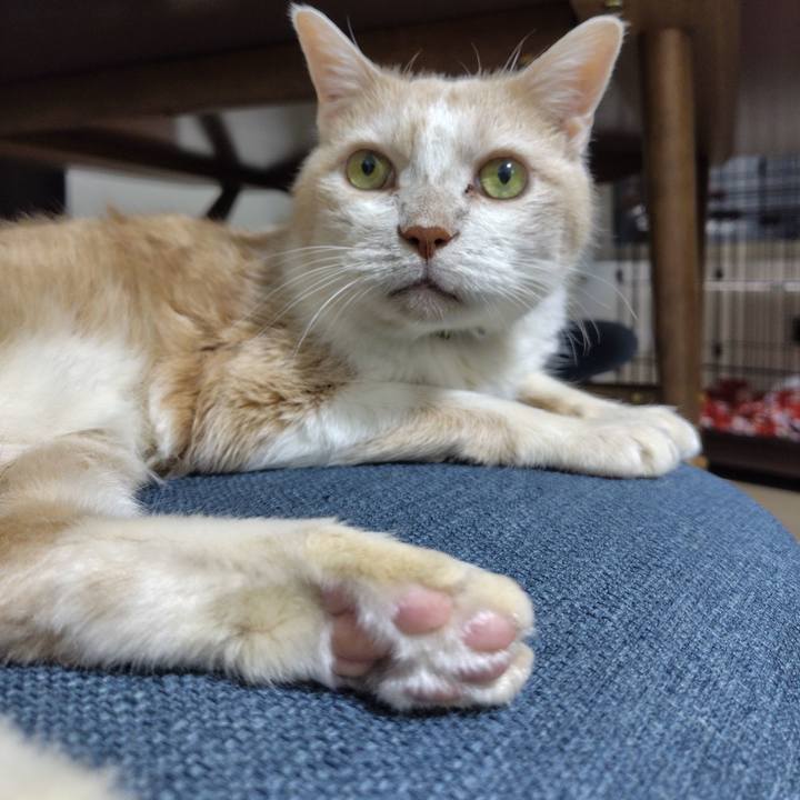 C8cb4d63 9c66 4c88 8c3c 39e79ace59a5 1725616631364