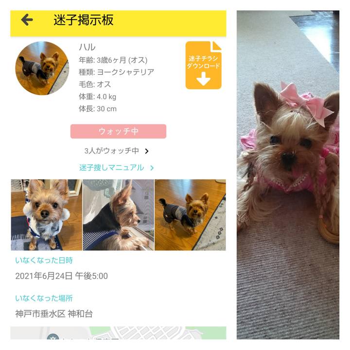 C8cbc18e d968 483d bda3 0d6d9683e106 1624712572909