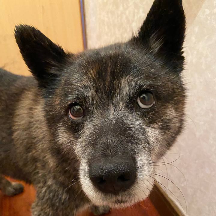 C8cc0f9c 3b57 47ea bb70 d03e82a2b16a 1653027143181