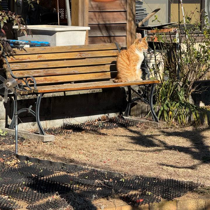 C8cc5bb3 c3ba 4280 991d 68982bf0f68a 1769136193457