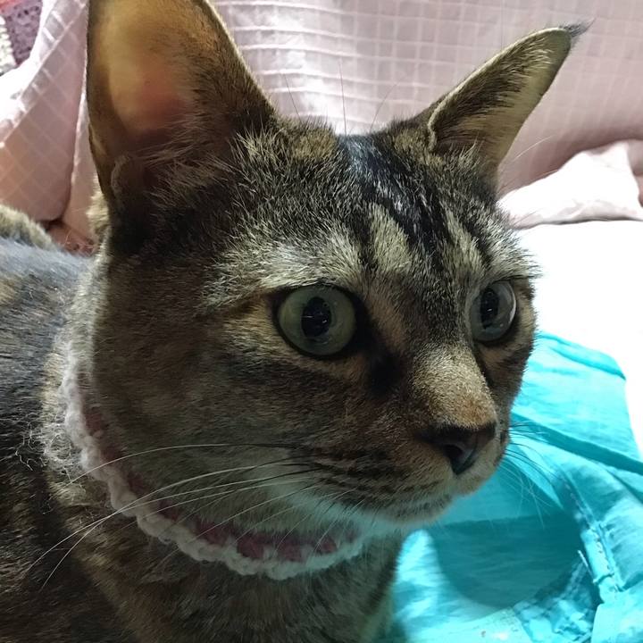 C8cc6252 be7e 44e1 9a82 7212b204e8cb 1714203253240