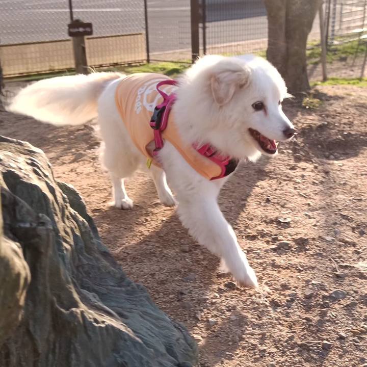 C8cc731a 2477 4619 b9c0 149f5d330d43 1709461972259