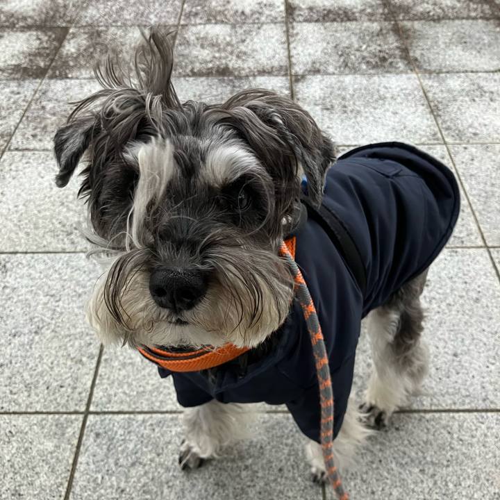 C8cc733d 1cc1 41fe 979c 6cd860088548 1768697019550