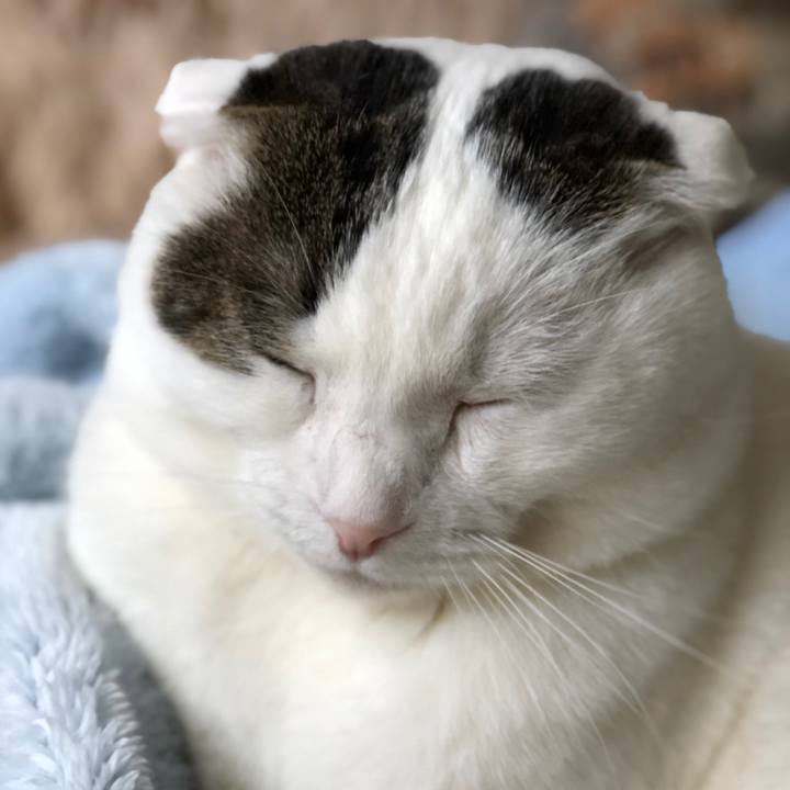 C8cc87f6 4e02 4155 b0a8 da3bad946759 1553227060056